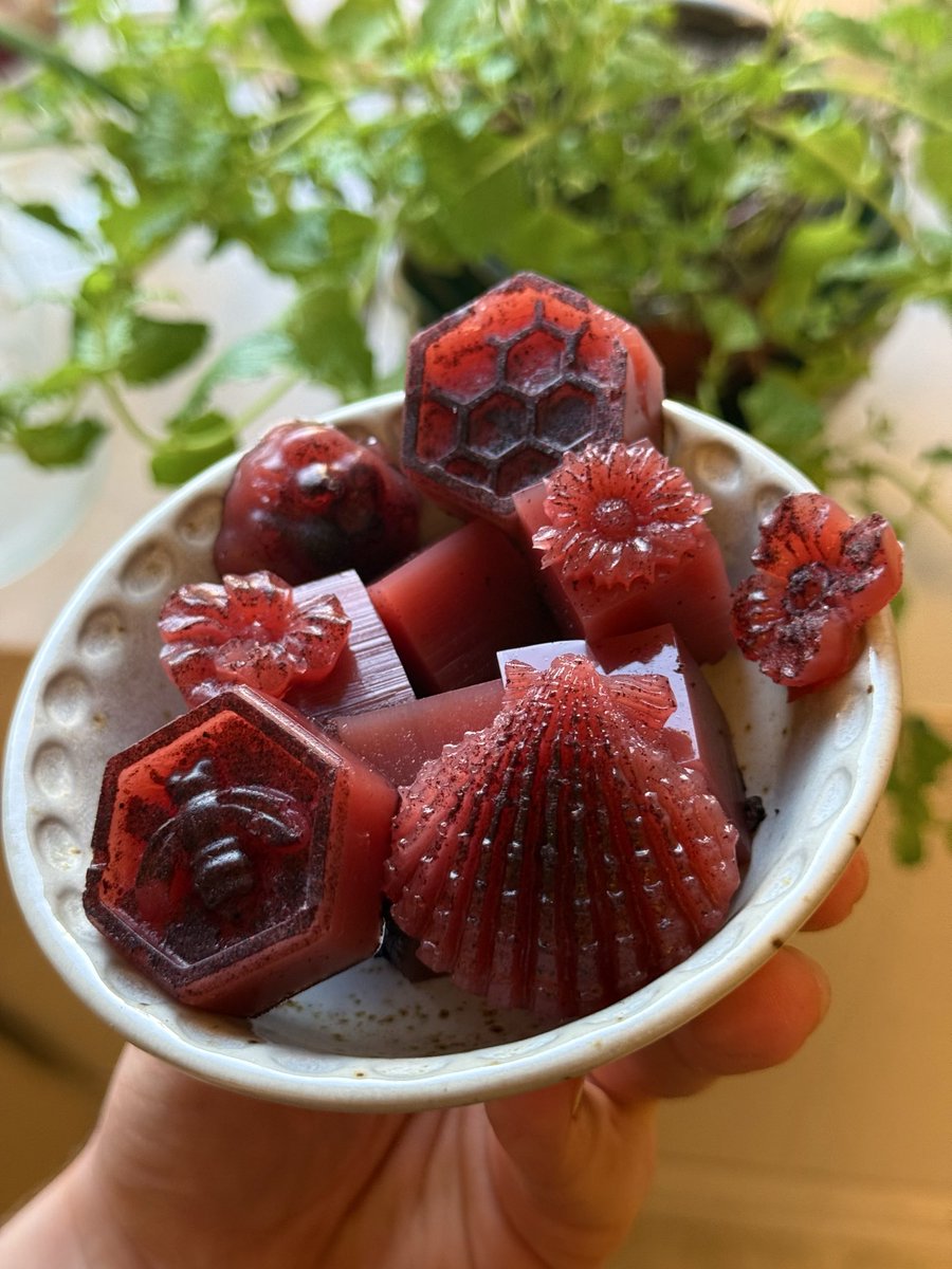 The Cooking Lady tweet media