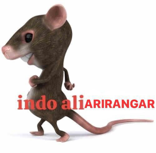 MADE IN BRAZIL. tweet media