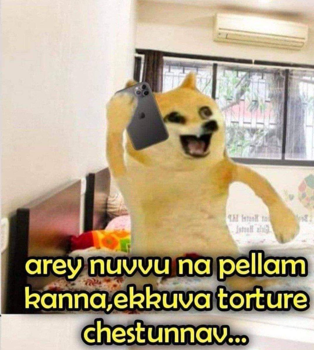 WareHouse ๐ฆ
tweet media