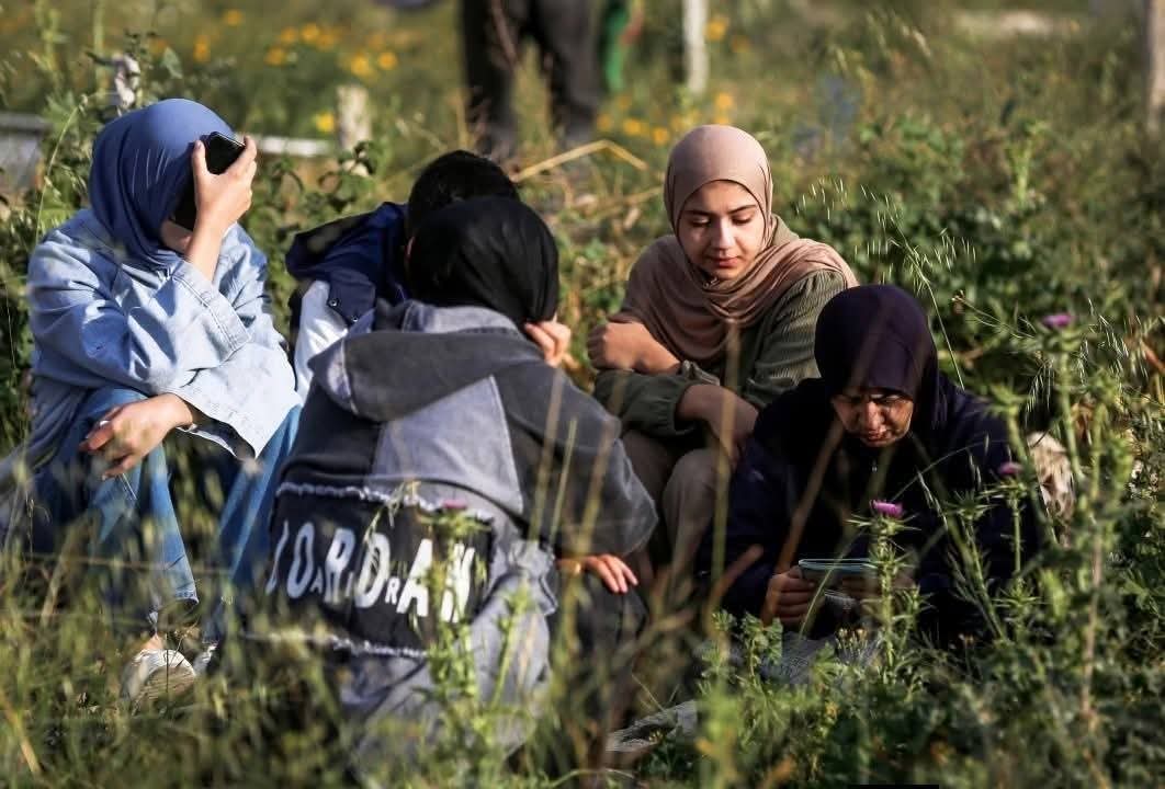 ثائر البنا، غزة 🇵🇸 tweet media