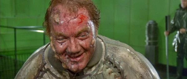 Multiple Frood tweet media