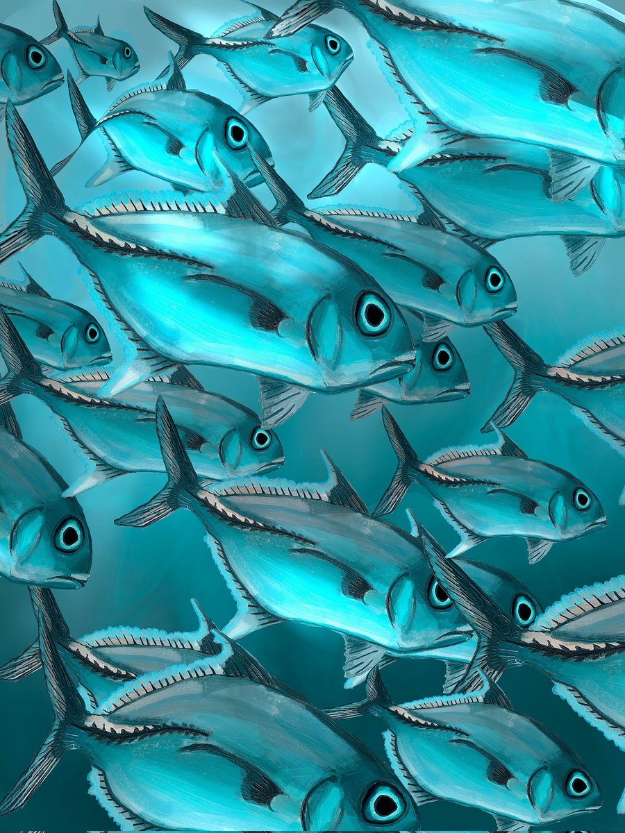 werbug( ፝֯֟ •ॢ◡-ॢ)❁ཻུ۪۪‧˖࣪⊹₊。 tweet media