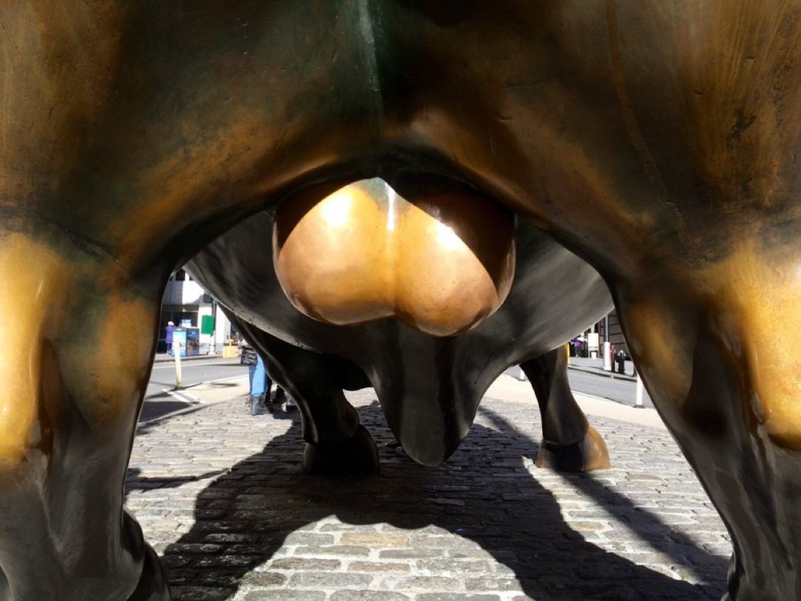 Dip Wheeler tweet media