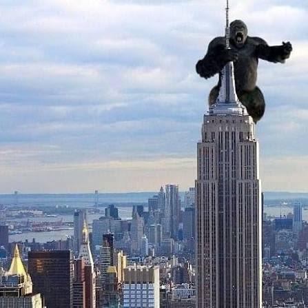 William Crozer tweet media