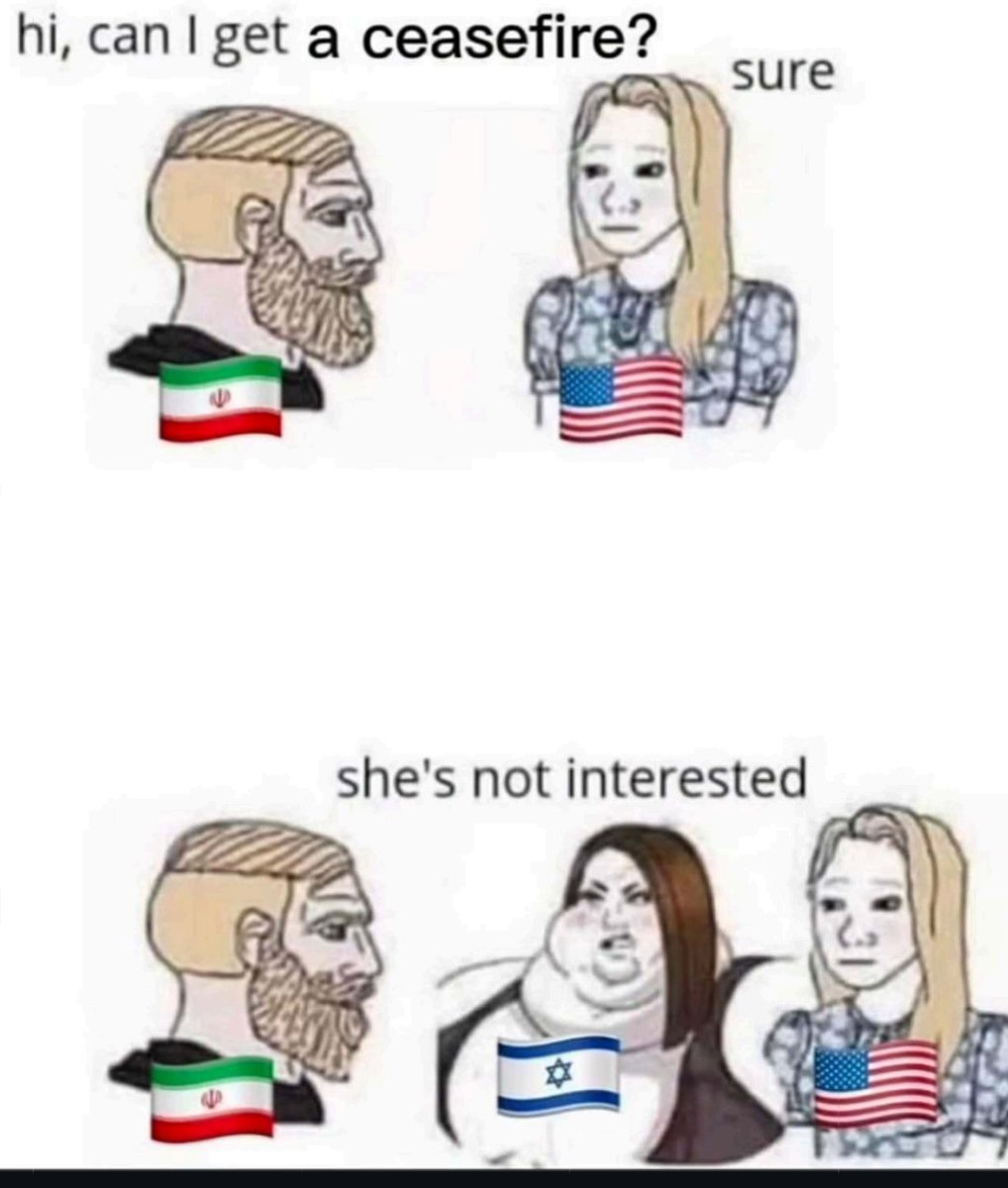 Plato Bodybuilder tweet media