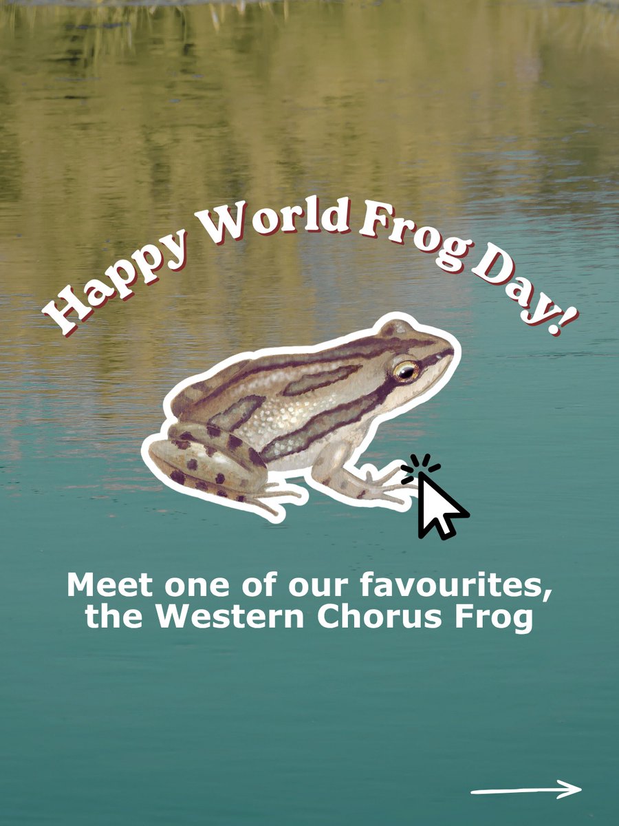 EnvironmentalDefence tweet media