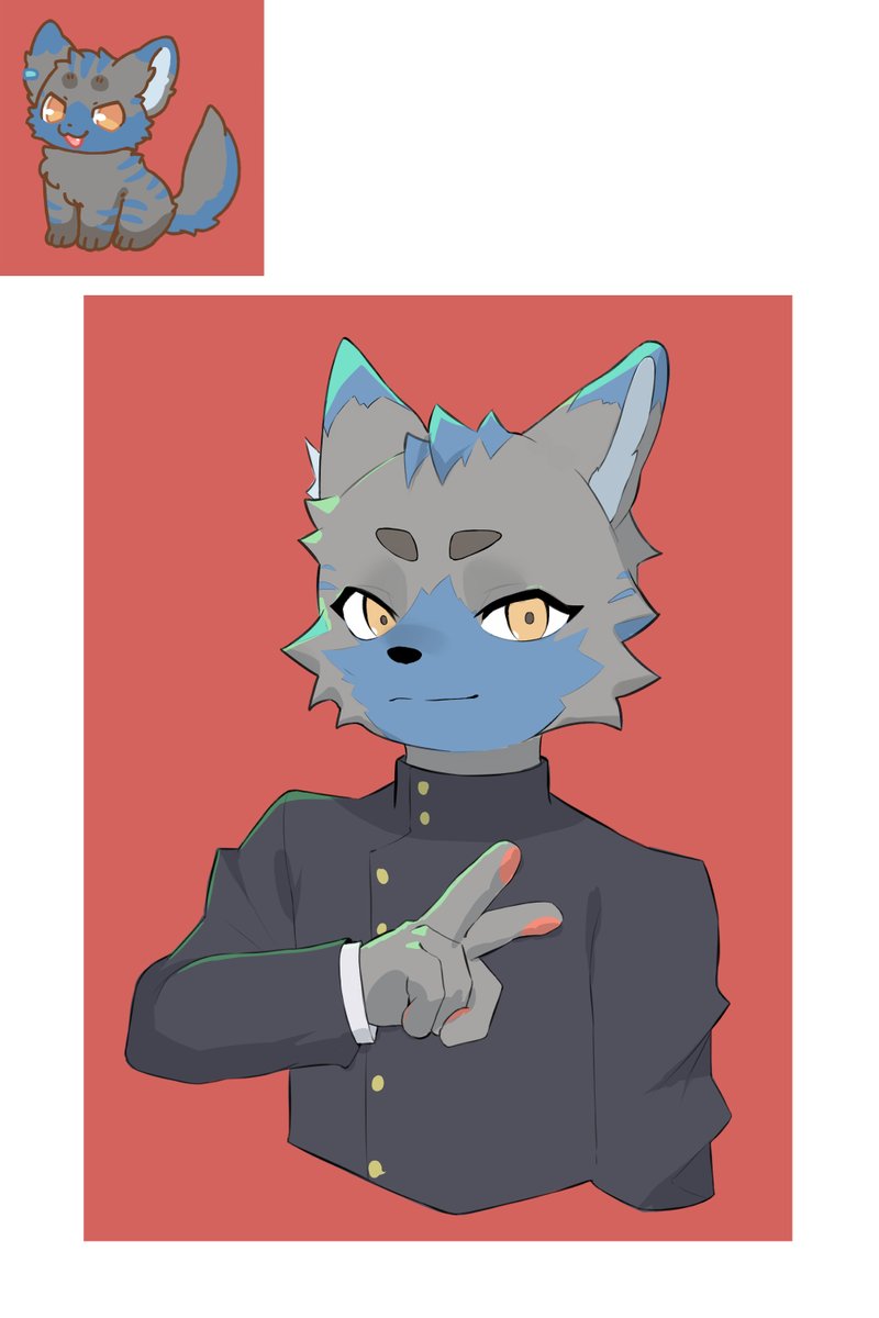 마고/MAGO tweet media