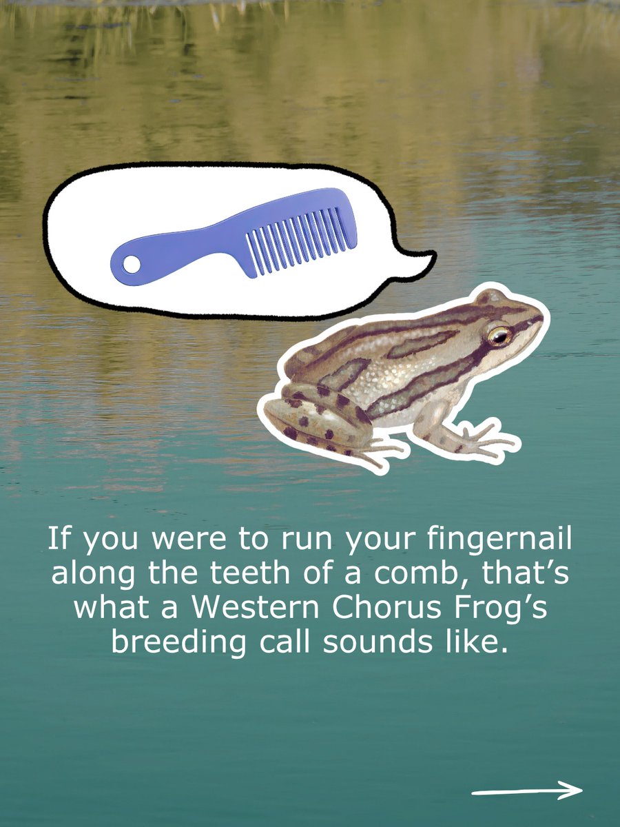 EnvironmentalDefence tweet media