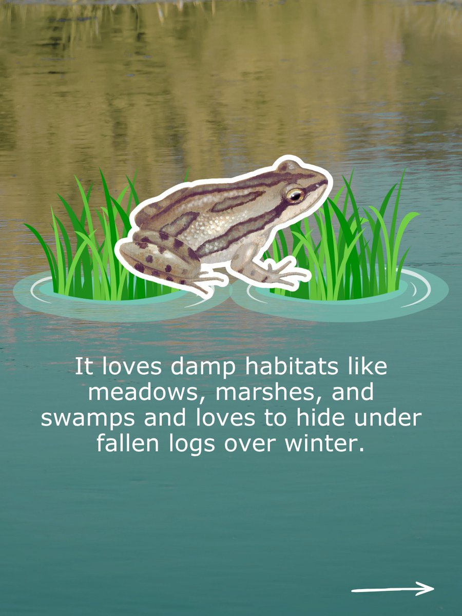 EnvironmentalDefence tweet media