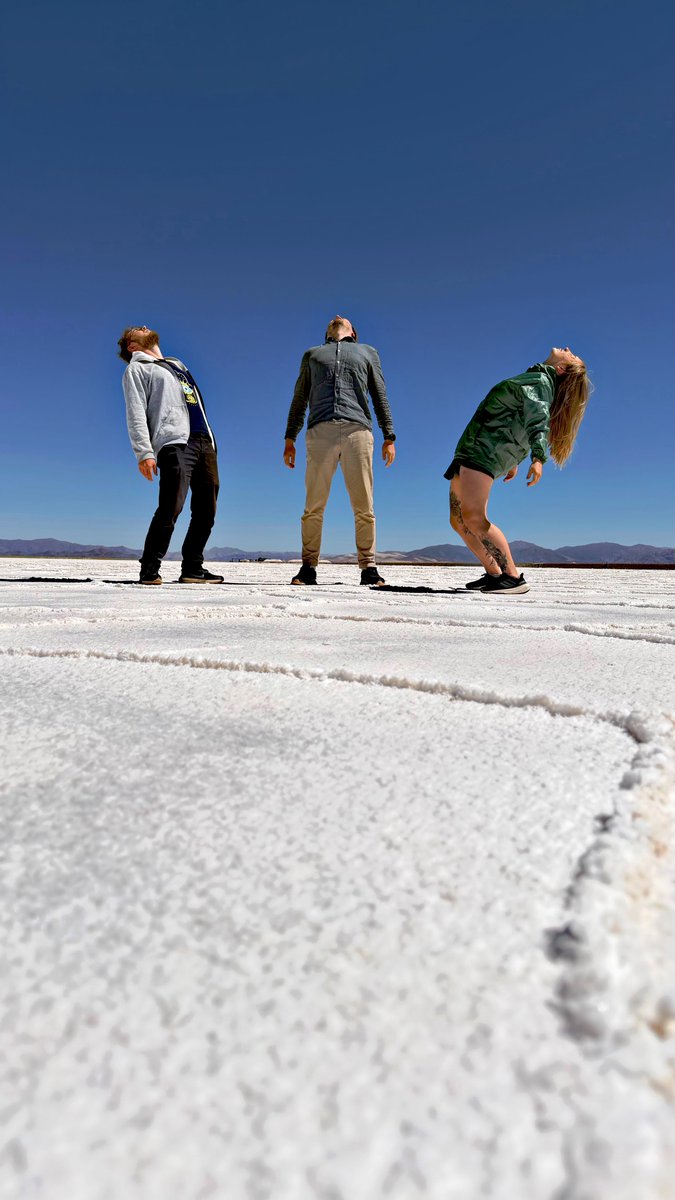 принцесса сиеста tweet media