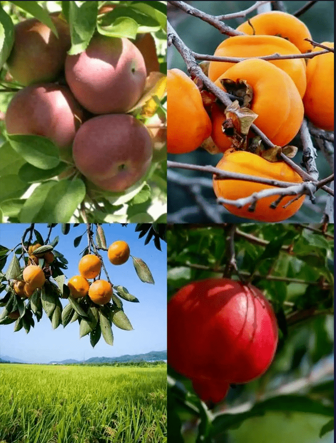 Akash keshla tweet media