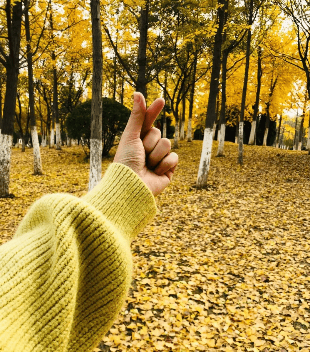 Weis Frederic tweet media