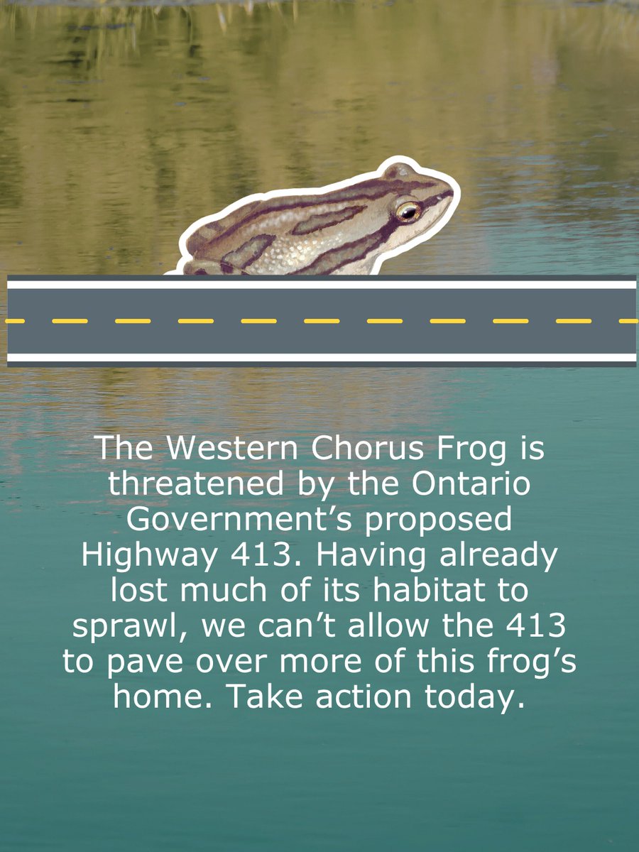 EnvironmentalDefence tweet media