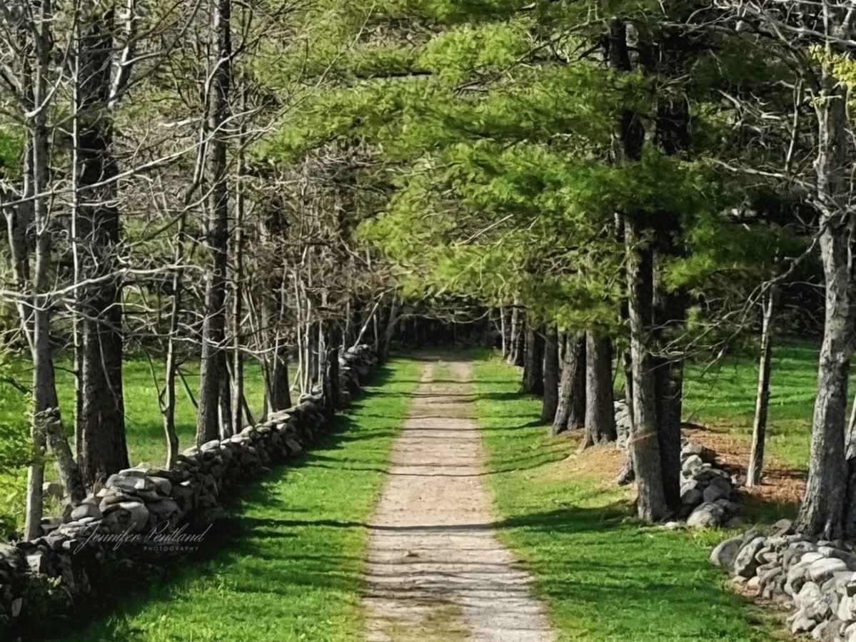 Jennifer tweet media