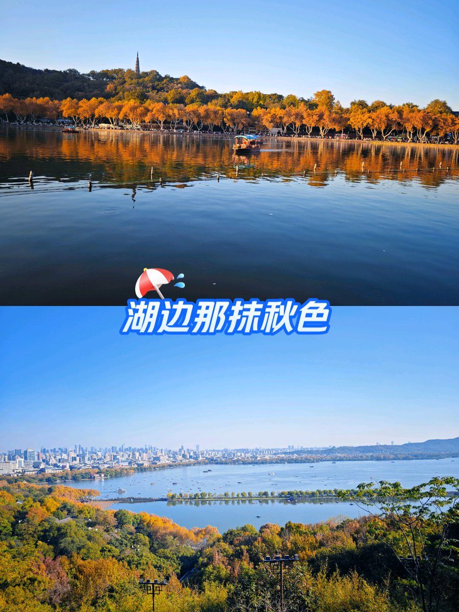 Thassio de Jesus M. tweet media