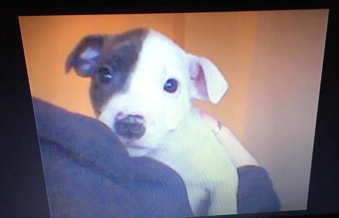 ⭐️ 𝚂𝚝𝚊𝚛 ⭐️ tweet media