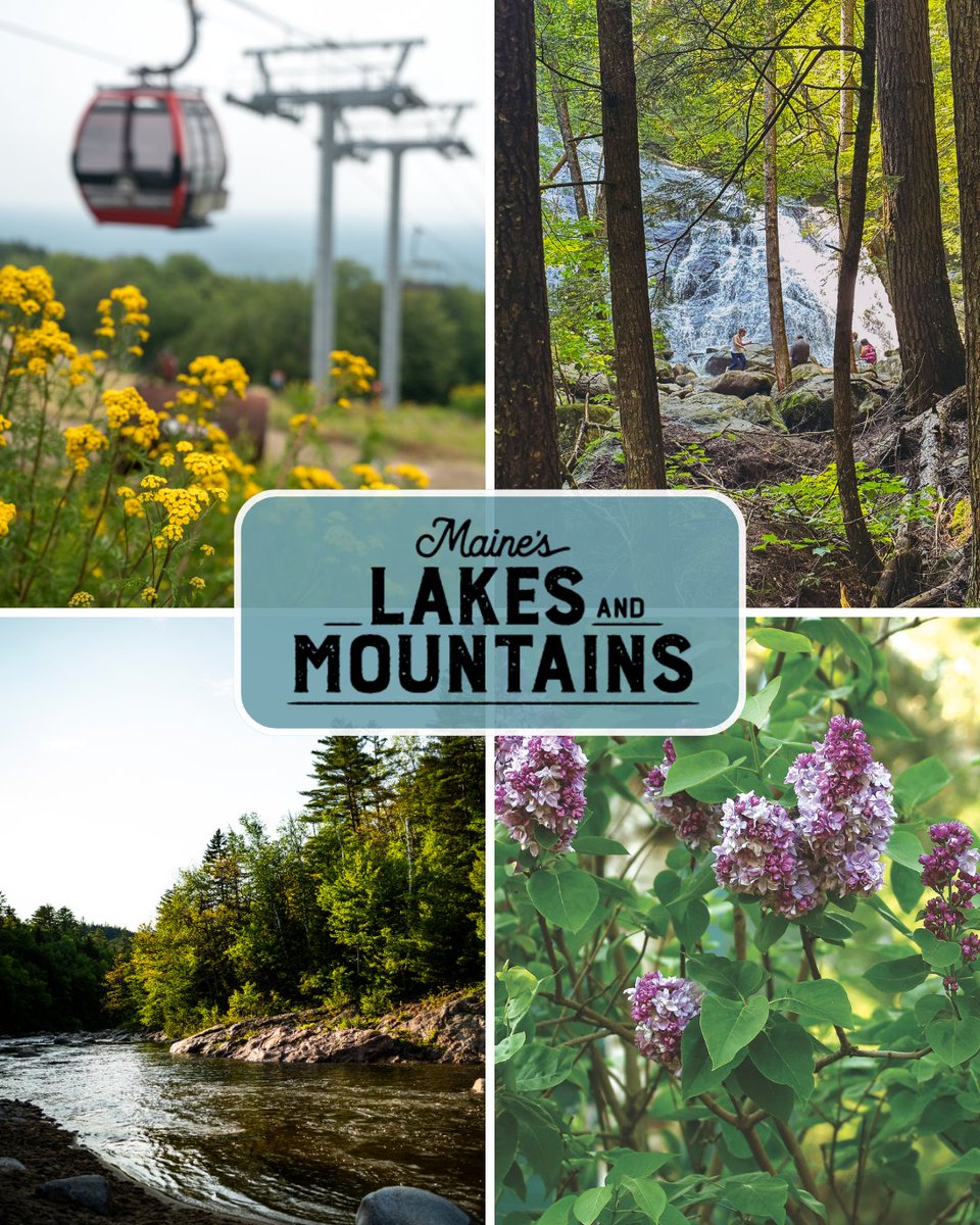 Maine's Lakes & Mtns tweet media
