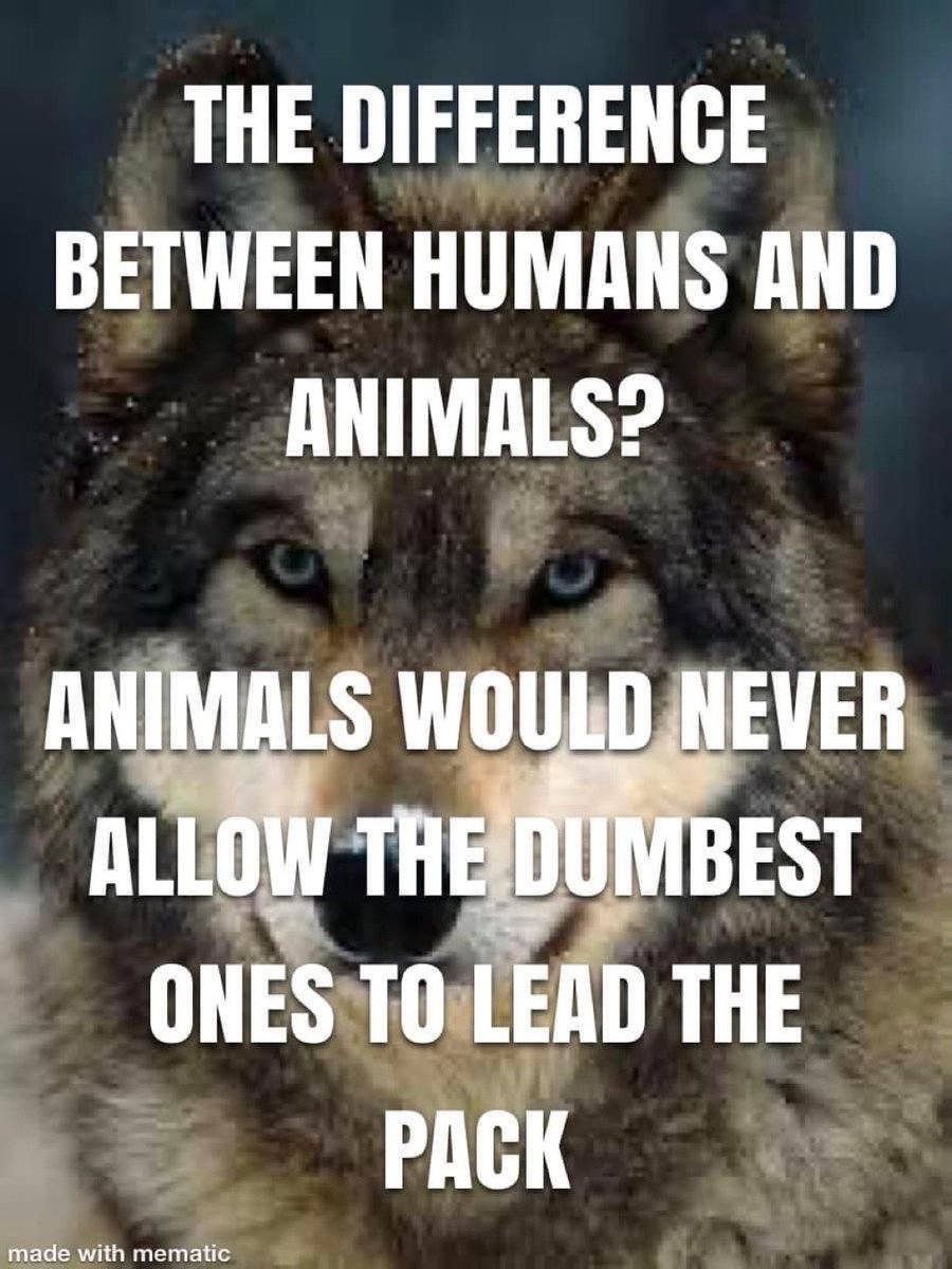 David Hansen tweet media