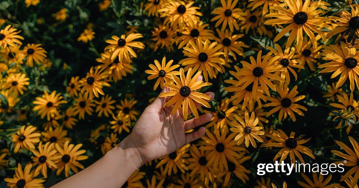 Getty Images VisualGPS tweet media