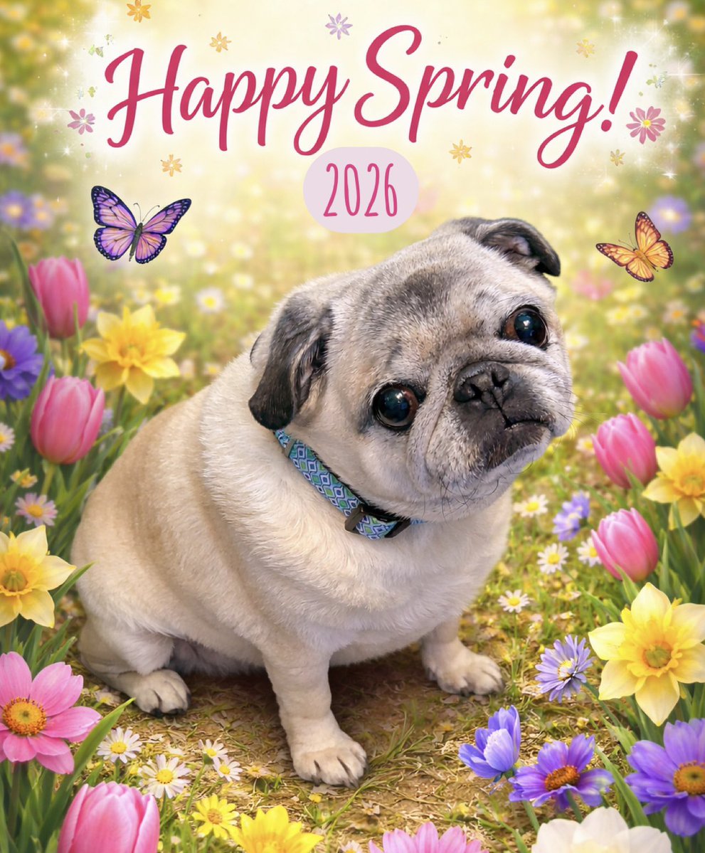 Wendy, Amelia & Angel Ginger❤️ tweet media