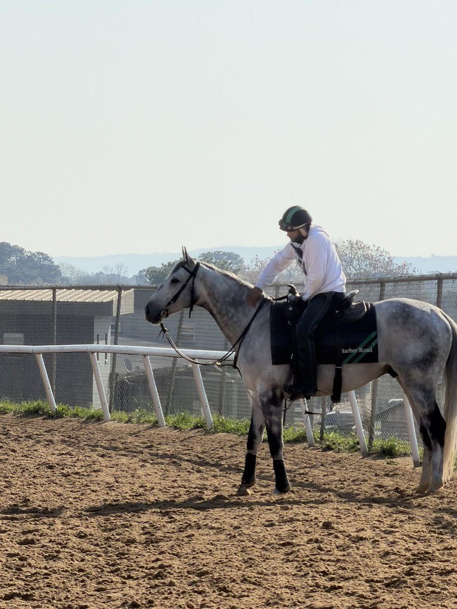 ORTIZ RACING STABLES tweet media