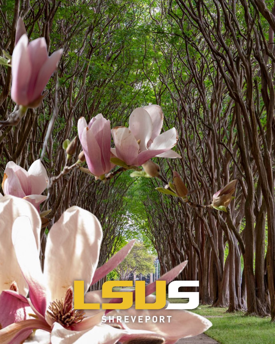 LSU President Dr. Wade Rousse tweet media