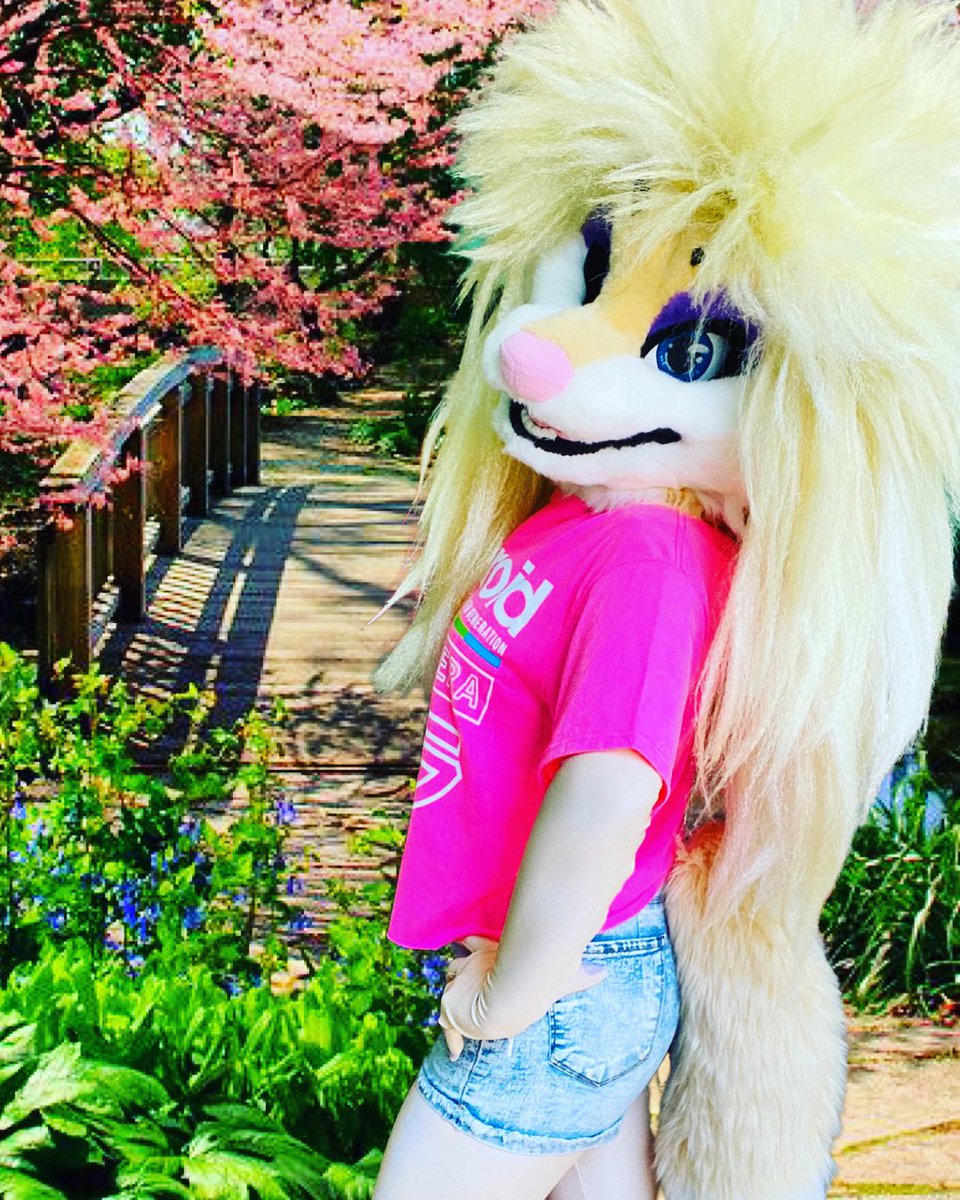 🎸░R░o░x░x░y░ ░F░e░r░r░a░r░i░~🏁 tweet media