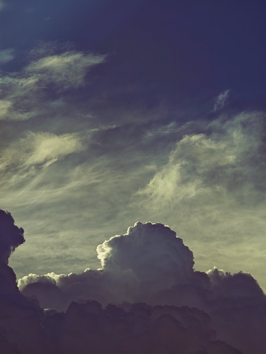 Meshach Concept tweet media