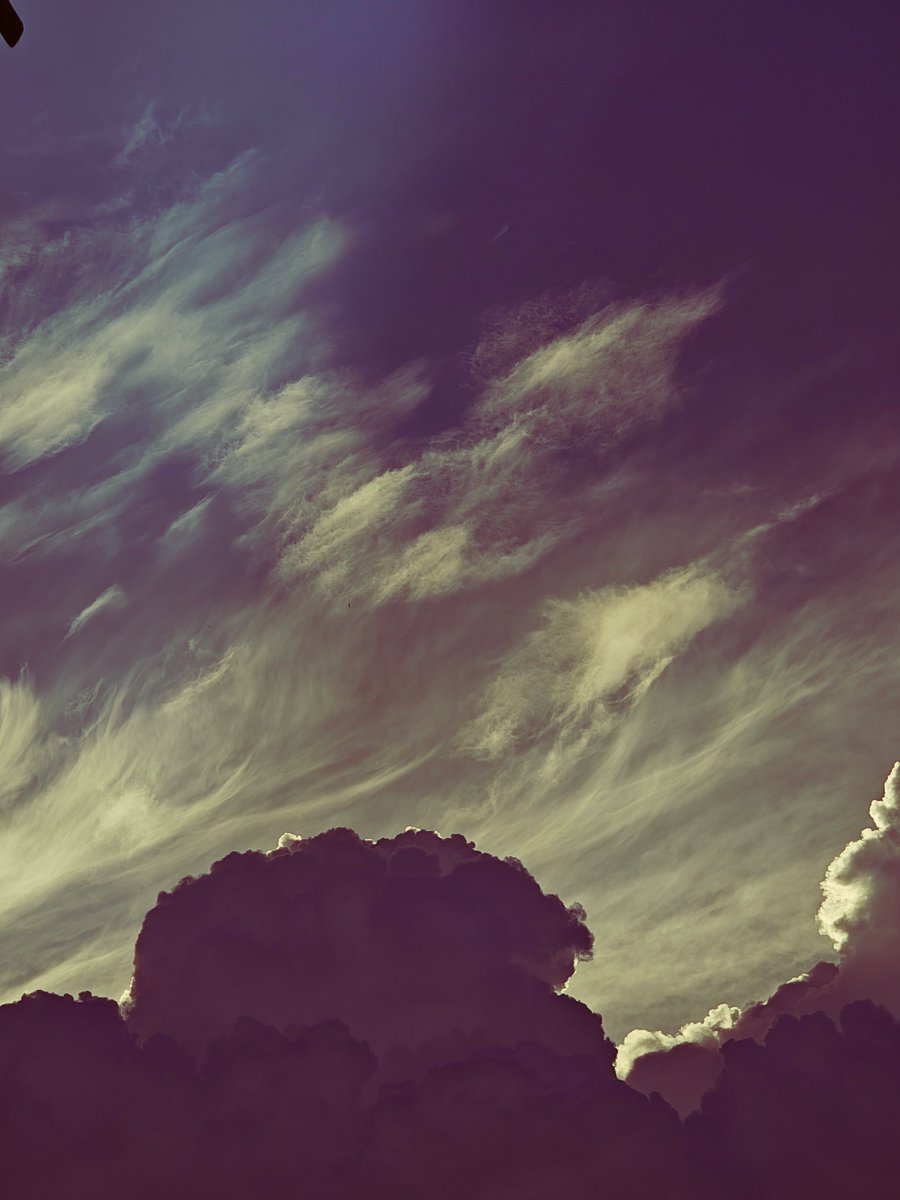 Meshach Concept tweet media