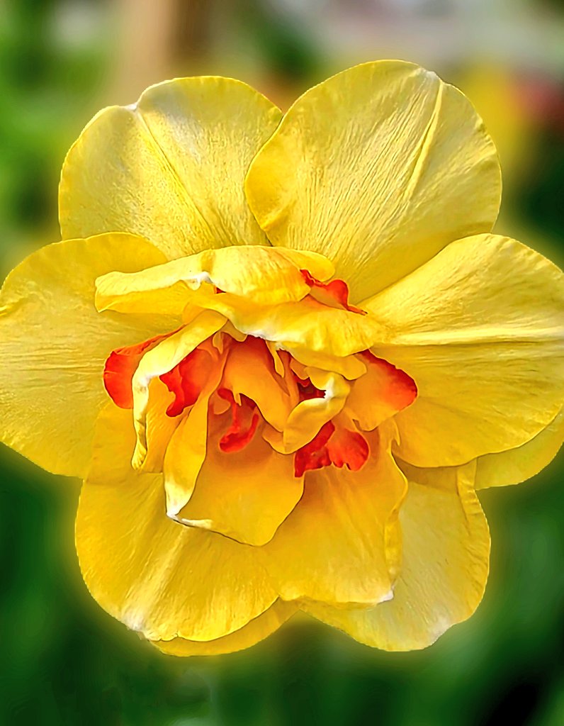 Destination Charming tweet media