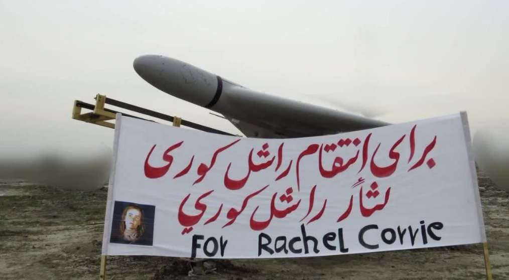 susan abulhawa | سوزان ابو الهوى tweet media