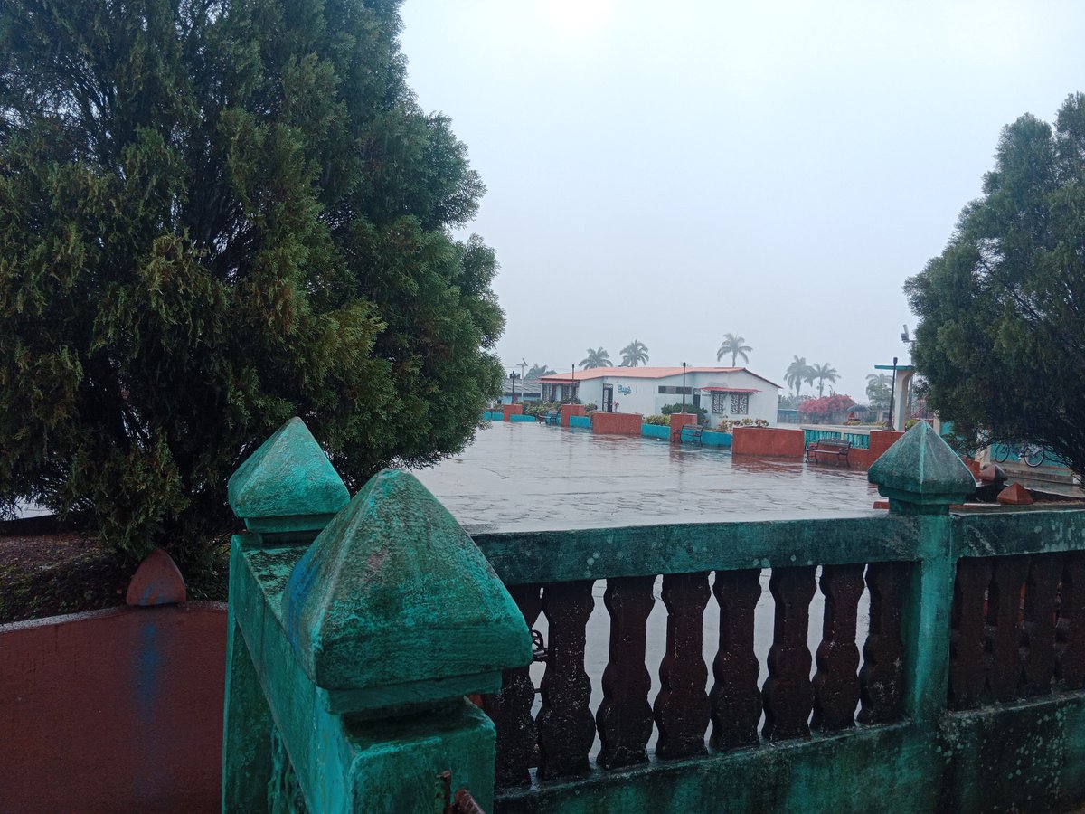 Y llegó la lluvia a #Maisi
Enhorabuena.