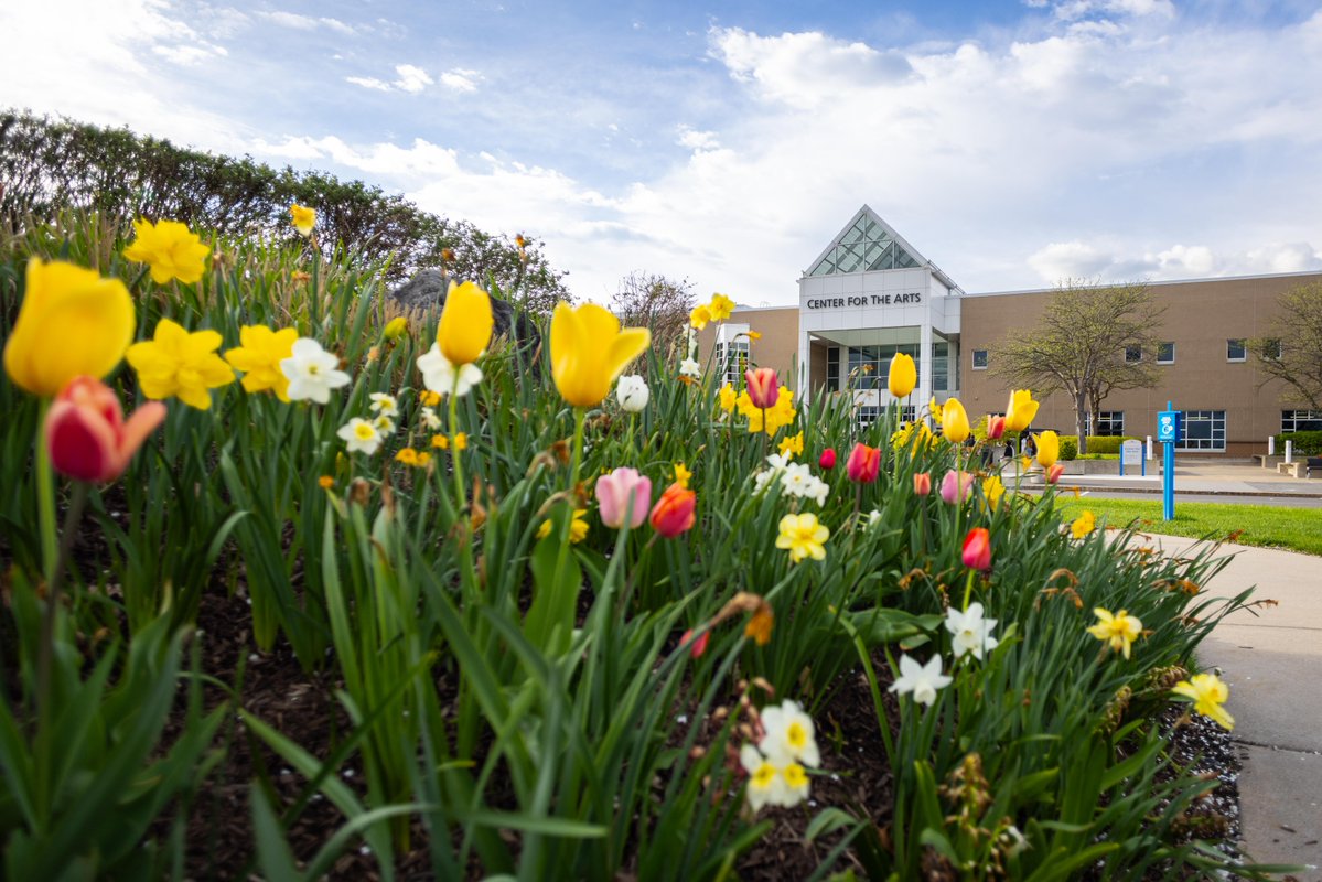 UBuffalo Student Experience tweet media