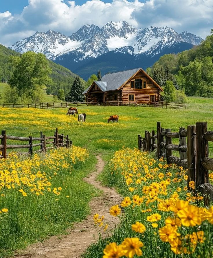 Nnature Explore tweet media