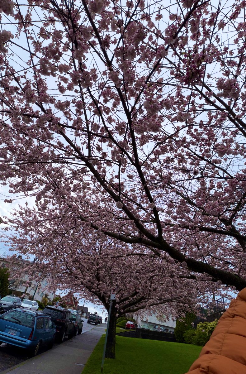 deepa 🏴☠️ tweet media