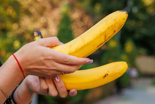 TWO COCK FROTTING - ONE QUEEN AND TWO COCKS phonesexkingdom.com/blog/cock-trai… via <a href="/TheQueenNicoleB/">🅽🅸🅲🅾🅻🅴</a>