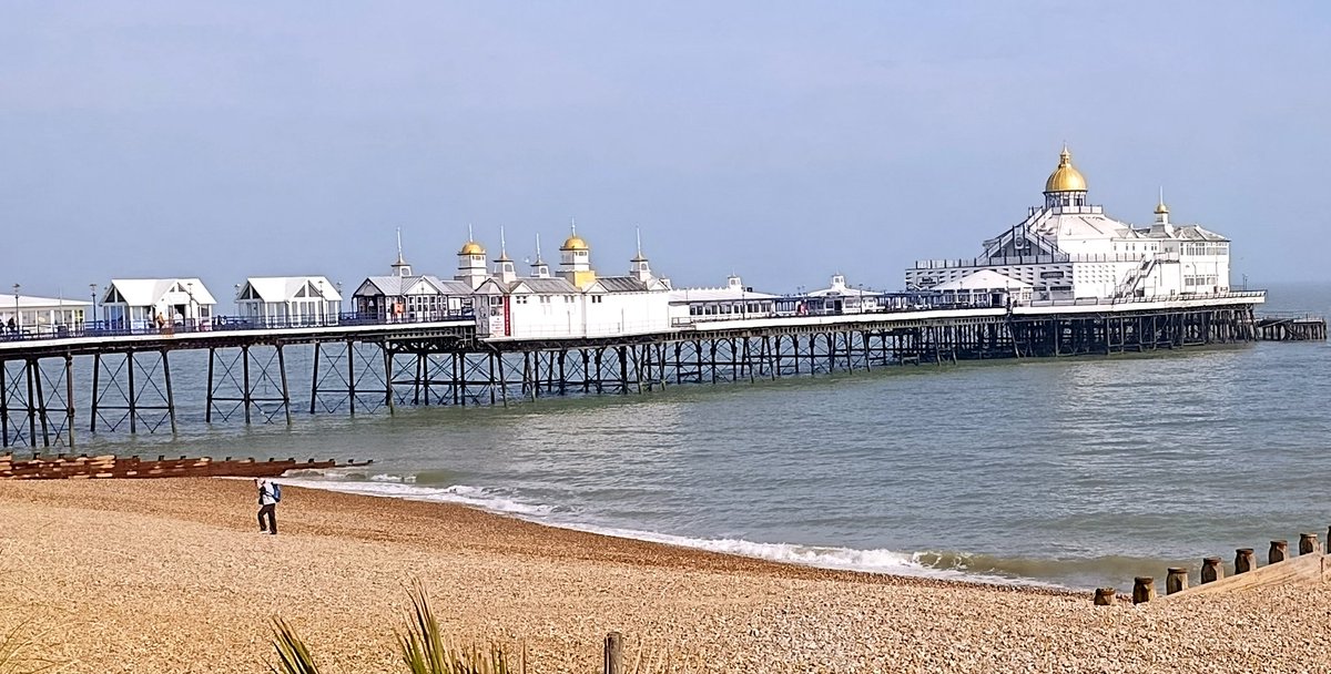 The Wandering Tractor tweet media