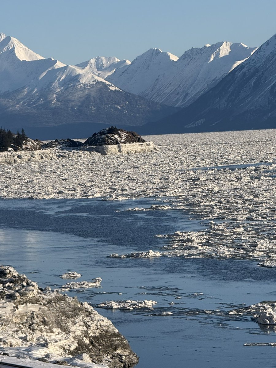 Captain_Off_Grid tweet media