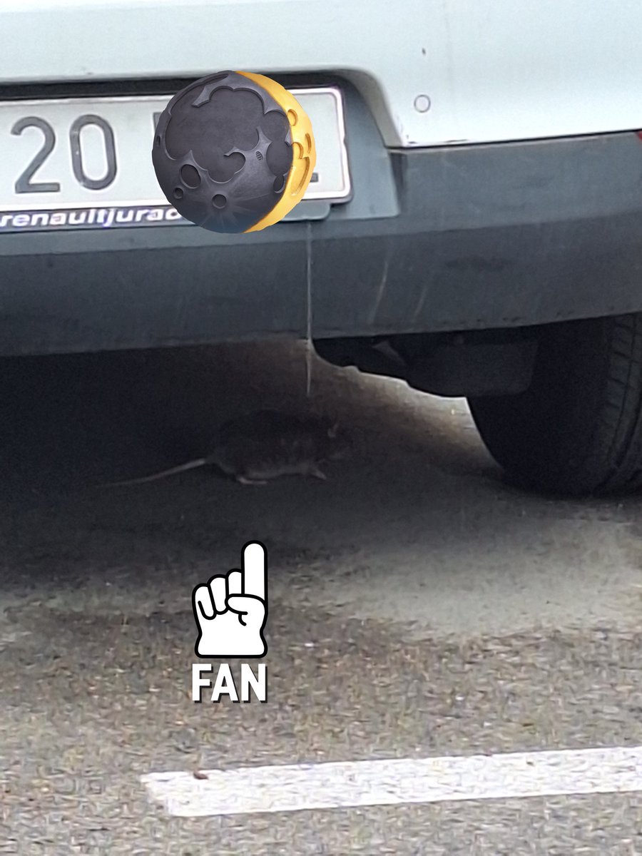 Ḷḷuarquesa 💙💛💙 tweet media