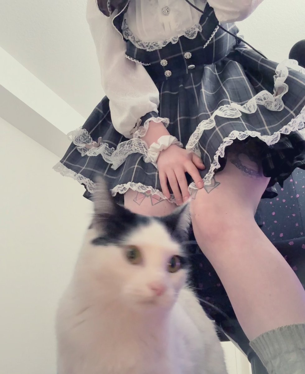 CottontailVA 🐰💋 tweet media