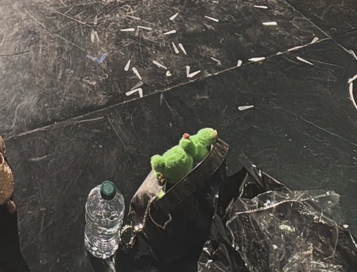 quindi franceska a quello verde, ed elodea quello rosa?
le abbiamo definitivamente perse