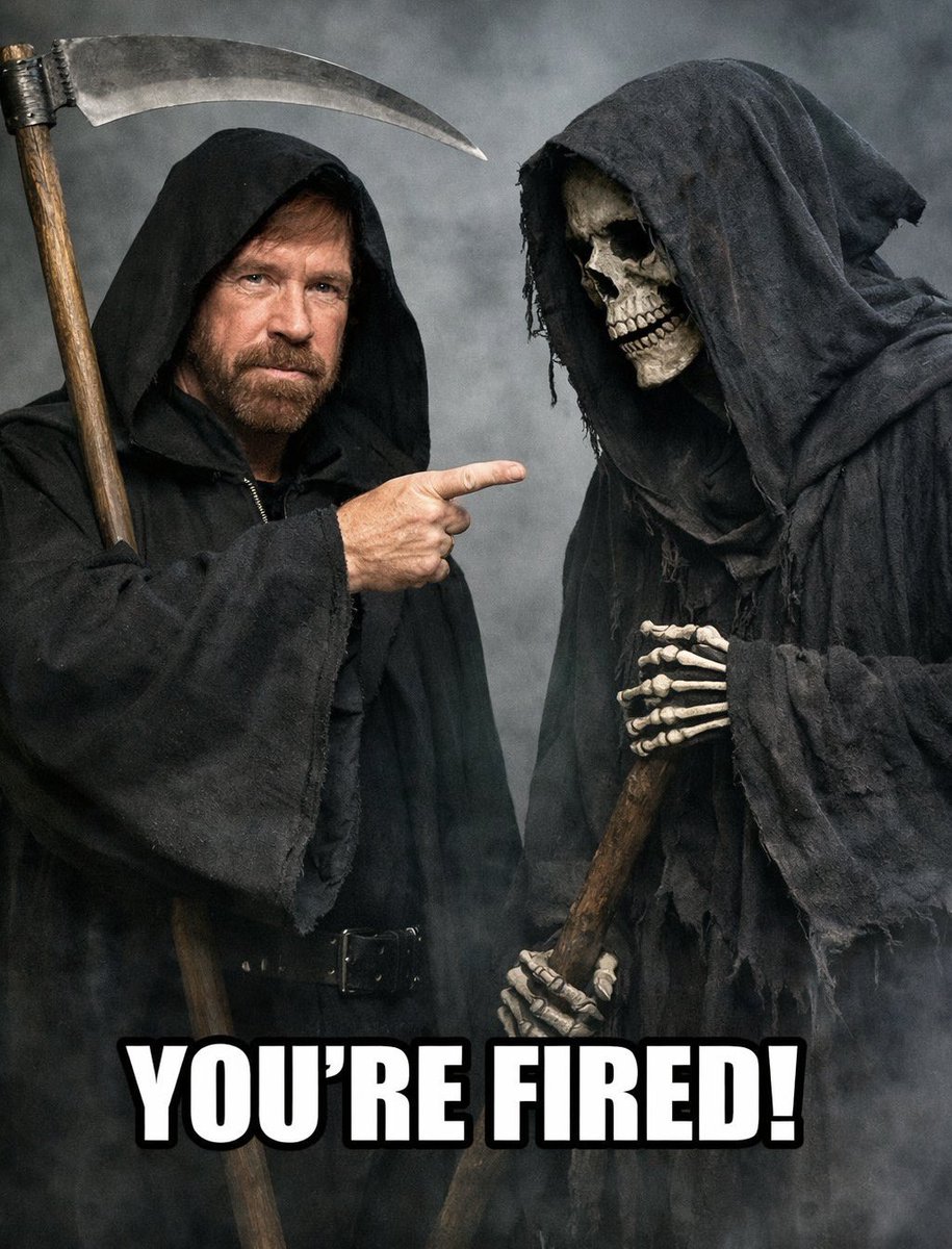 M. U. 📯 tweet media