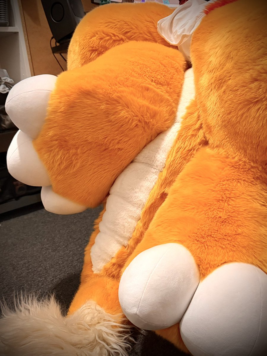 羽落晨曦 tweet media