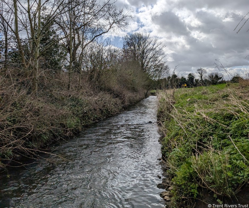 The Wild Trout Trust tweet media