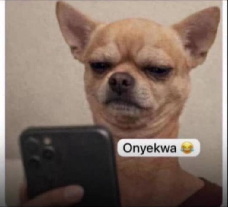 prime tech 🩵🤍 tweet media