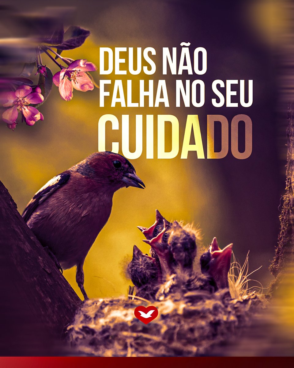 IgrejaUniversal's tweet photo. “Olhai para as aves do céu, que nem semeiam, nem segam, nem ajuntam em celeiros; e vosso Pai celestial as alimenta. Não tendes vós muito mais valor do que elas?” (Mateus 6:26) https://t.co/kNGPVuqcTC