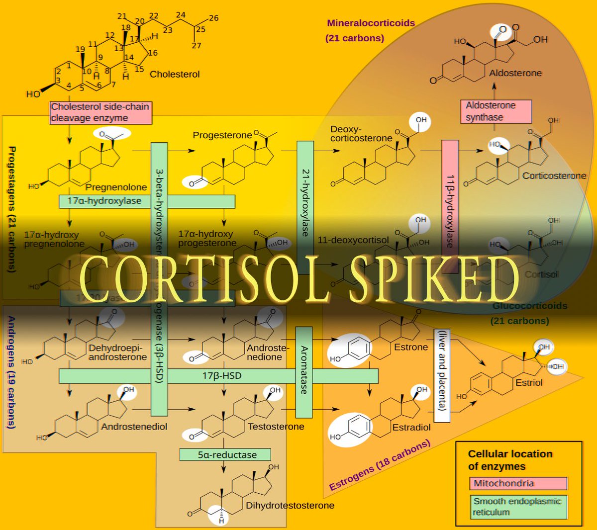 Miss Distance tweet media