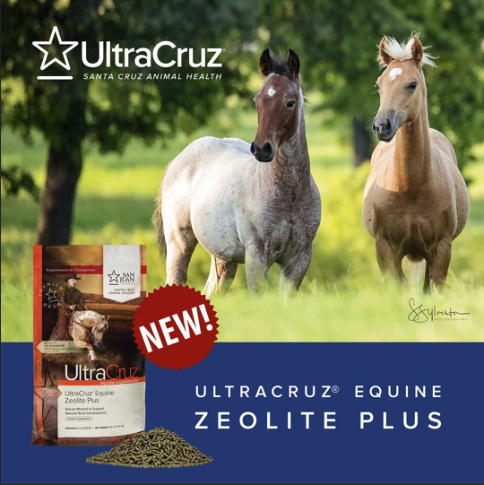 NEW PRODUCT🌟
𝑼𝒍𝒕𝒓𝒂𝑪𝒓𝒖𝒛® 𝑬𝒒𝒖𝒊𝒏𝒆 𝒁𝒆𝒐𝒍𝒊𝒕𝒆 𝑷𝒍𝒖𝒔 is now available as an 𝐞𝐚𝐬𝐲-𝐭𝐨-𝐟𝐞𝐞𝐝 𝐩𝐚𝐥𝐚𝐭𝐚𝐛𝐥𝐞 𝐩𝐞𝐥𝐥𝐞𝐭! A natural Silicon supplement to support healthy bones, tendons, ligaments, and connective tissue in horses of all ages.
#Ultracruz