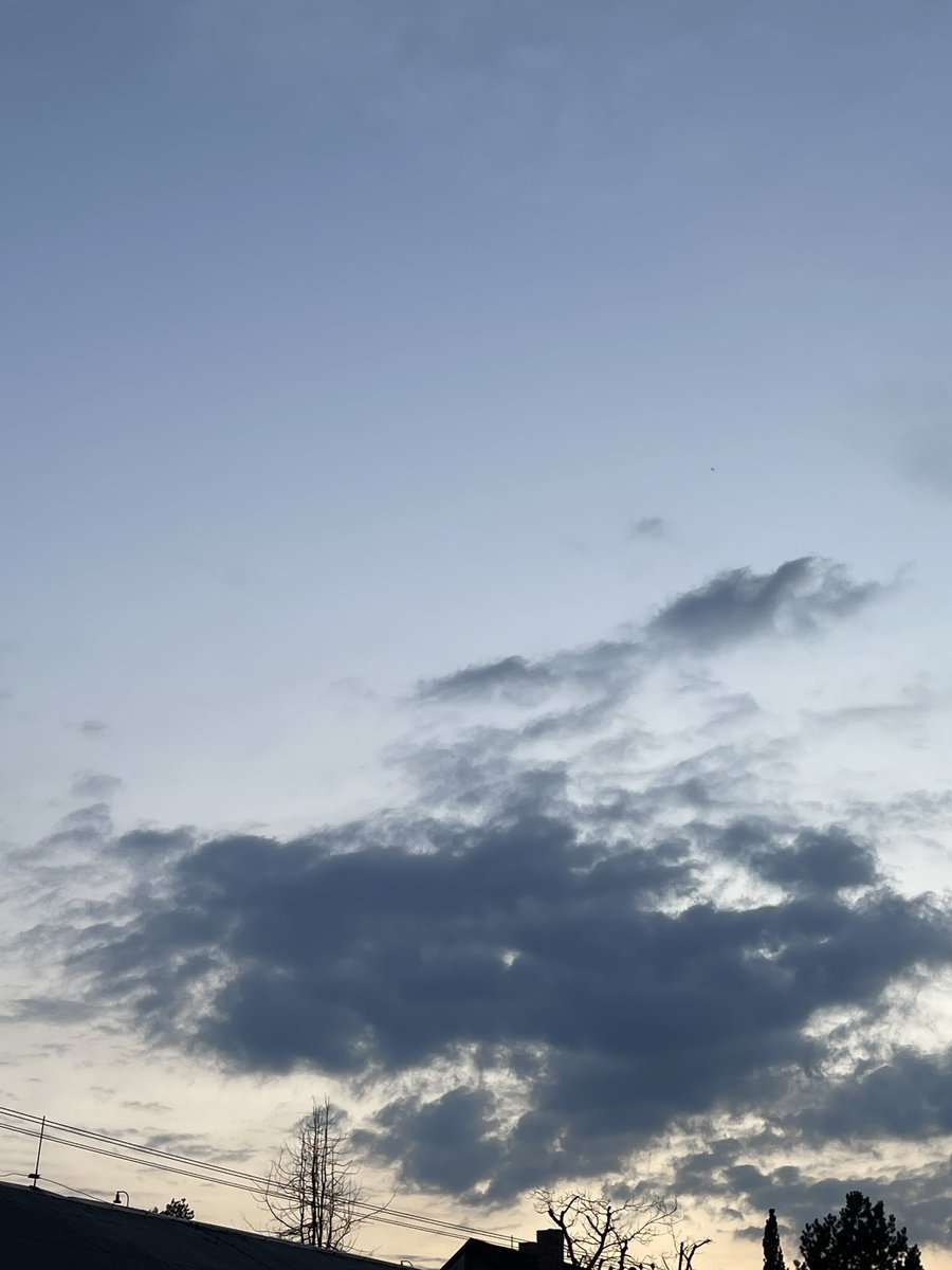 Eliška Baťová ♡ tweet media