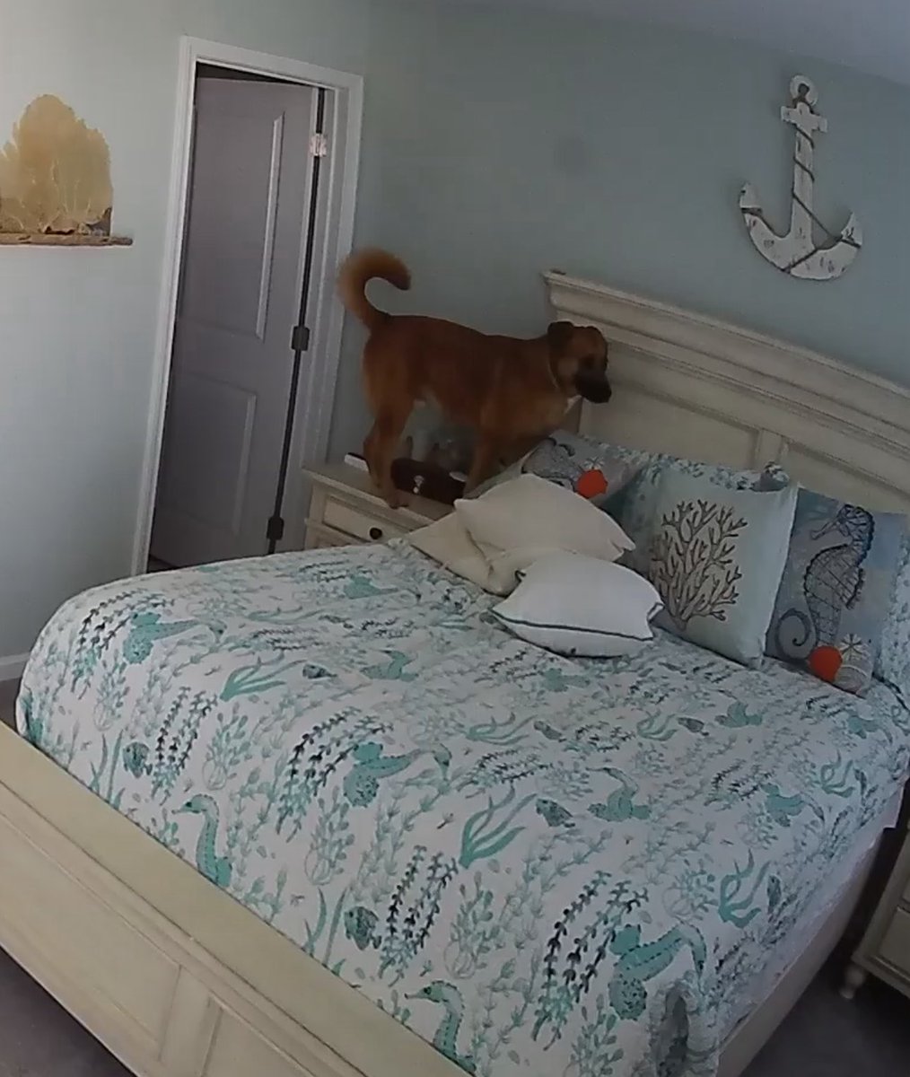 no it’s becky ✨ is in The Final Show✨ tweet media